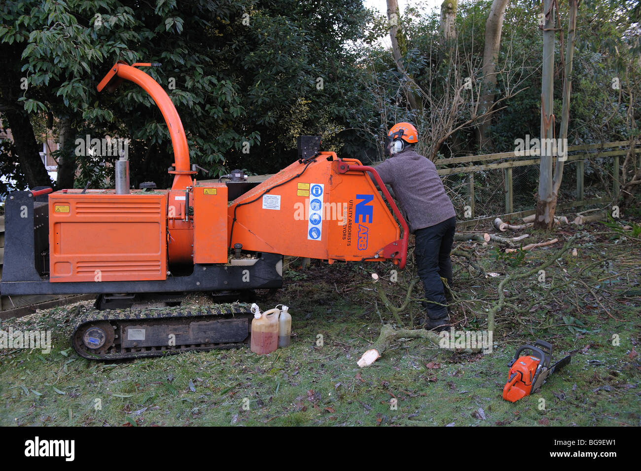 Baum Chirurg, baumzüchter, bei der Arbeit mit der Splitterung Maschine Stockfoto