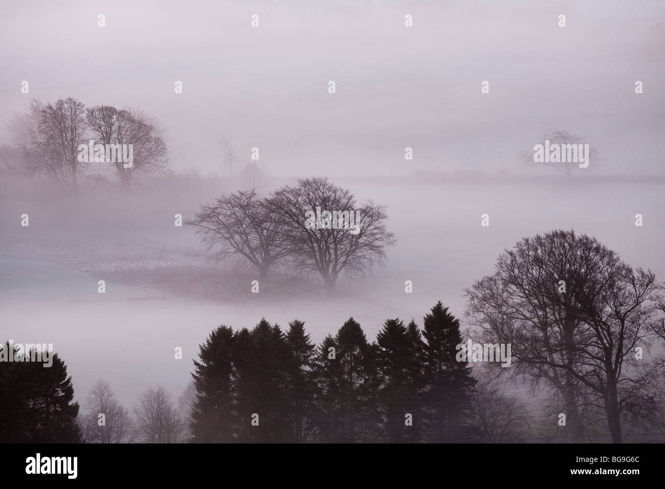 Nebel und Bäume aus den Hügel Tarvit, Ceres, Fife, Schottland Stockfoto