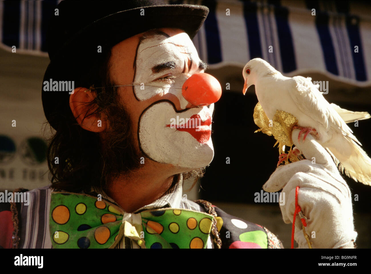 Eine Straße Clown mit seinem Haustier Taube, Carcassonne, Frankreich Stockfoto