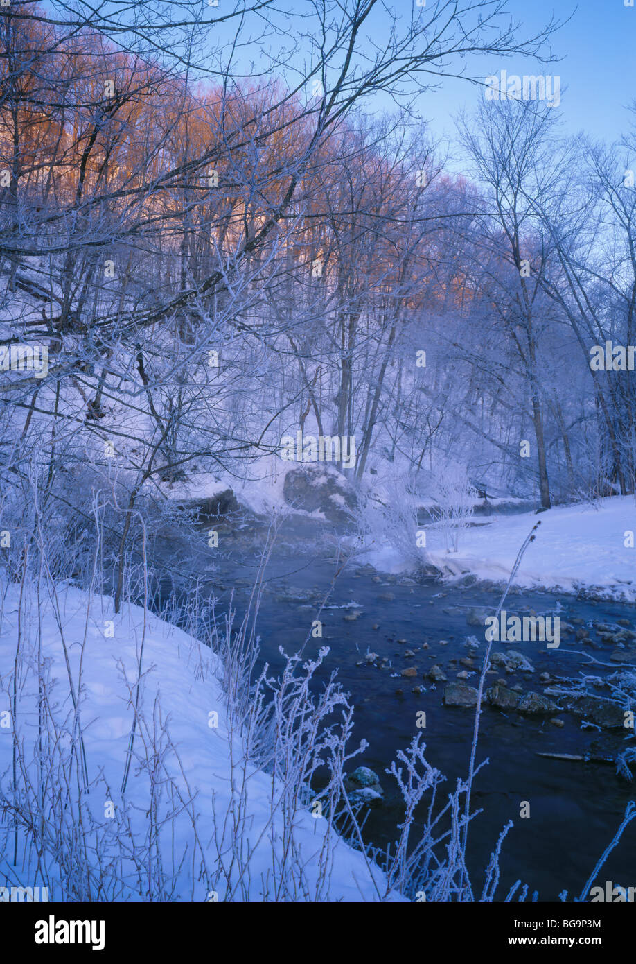 Beaver Creek, Beaver Creek Valley State Park, Minnesota Stockfoto