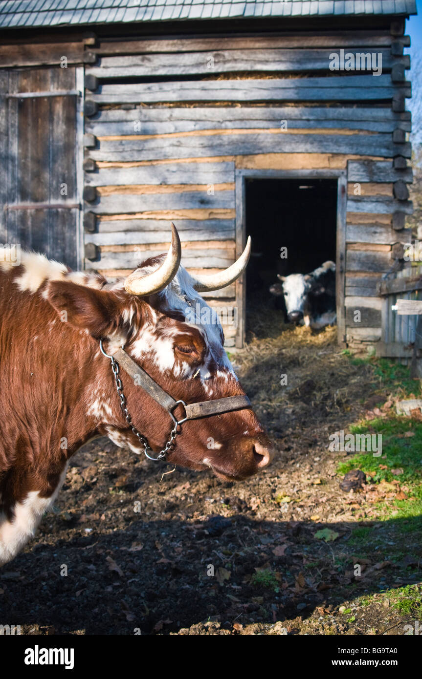 Landis Valley Farm Museum historische Sammlung von frühen amerikanischen Artefakte Stockfoto