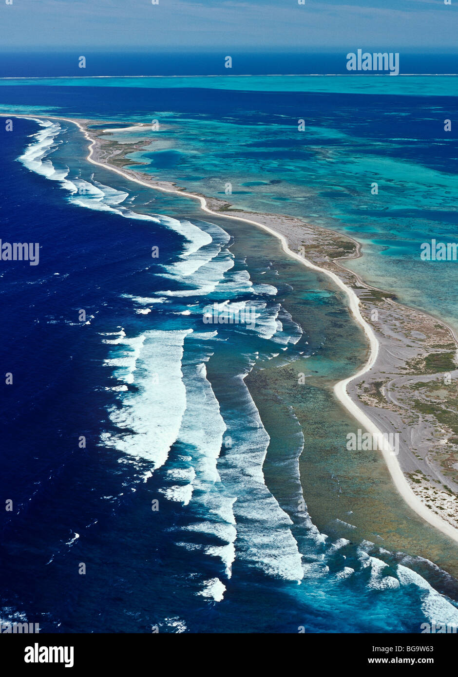 Korallenriff, Abrolhos Islands, Western Australia Stockfoto