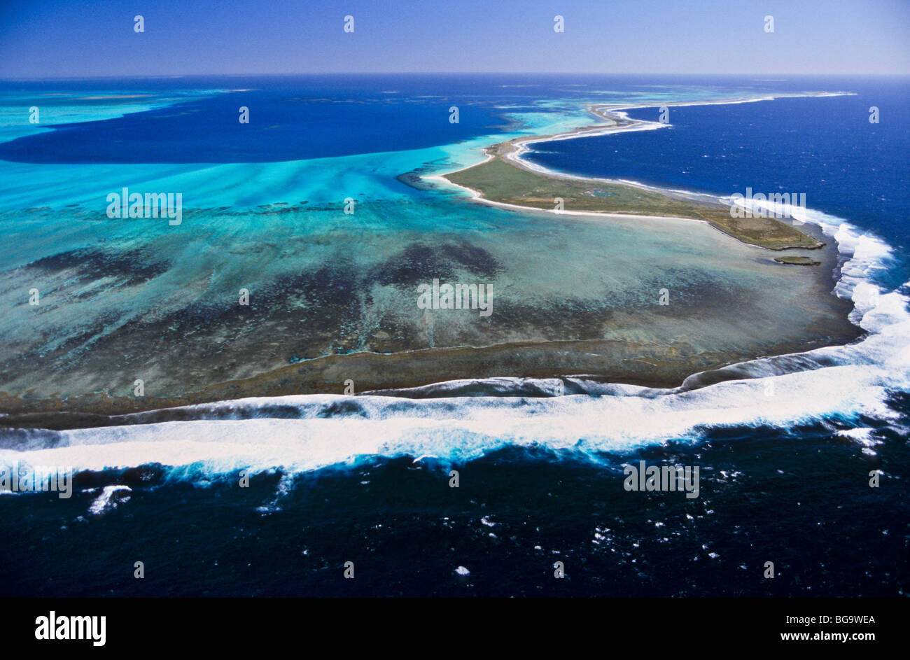 Korallenriff, Abrolhos Islands, Western Australia Stockfoto