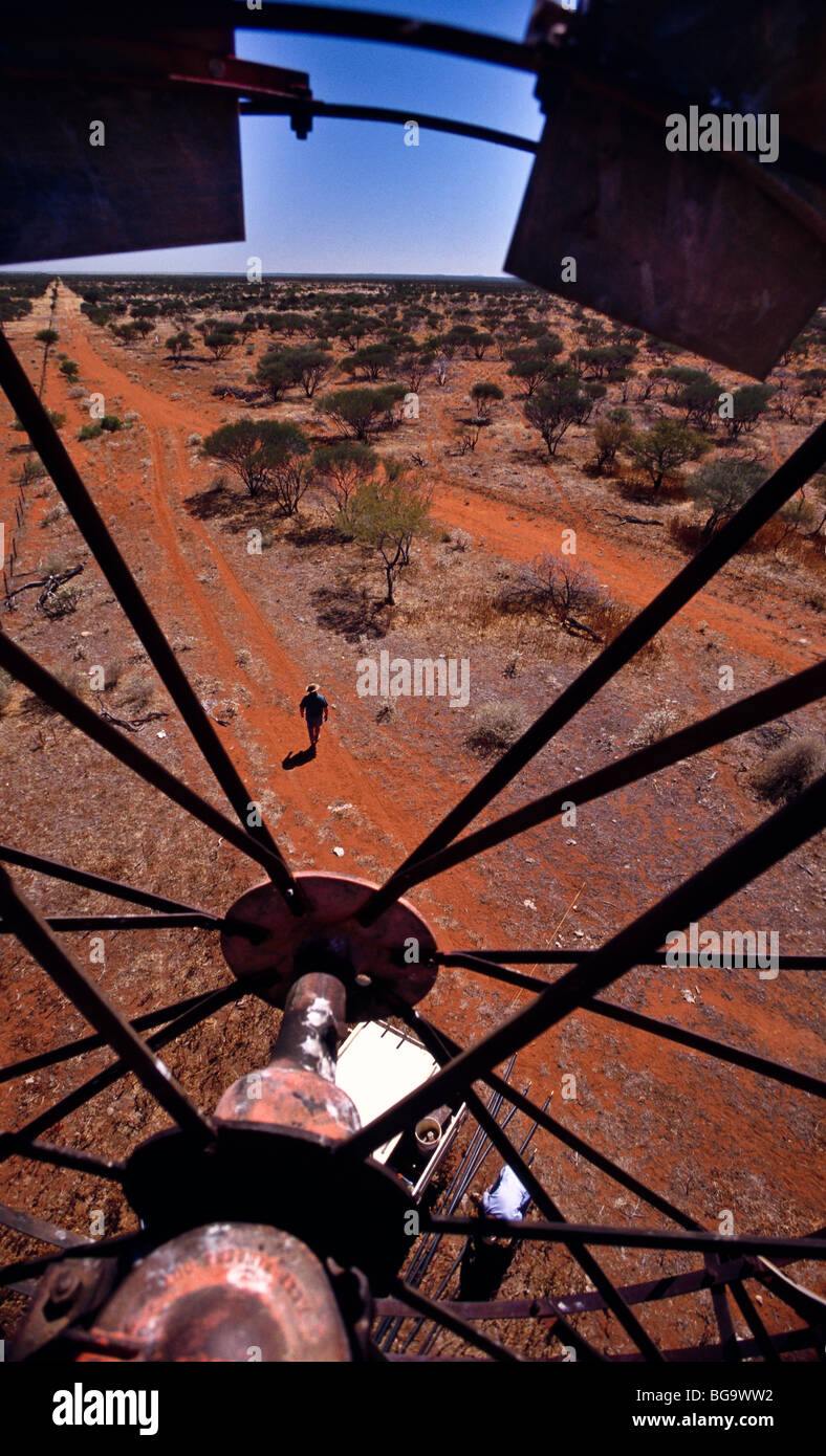 Blick auf Bauernhof Weideland von Windmühle Western Australia Stockfoto