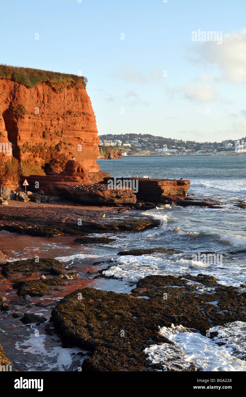 tropische Meere der Marine Devon innerhalb der englischen Riviera Geopark und Torquay in der Ferne, South Devon, Geologie Stockfoto