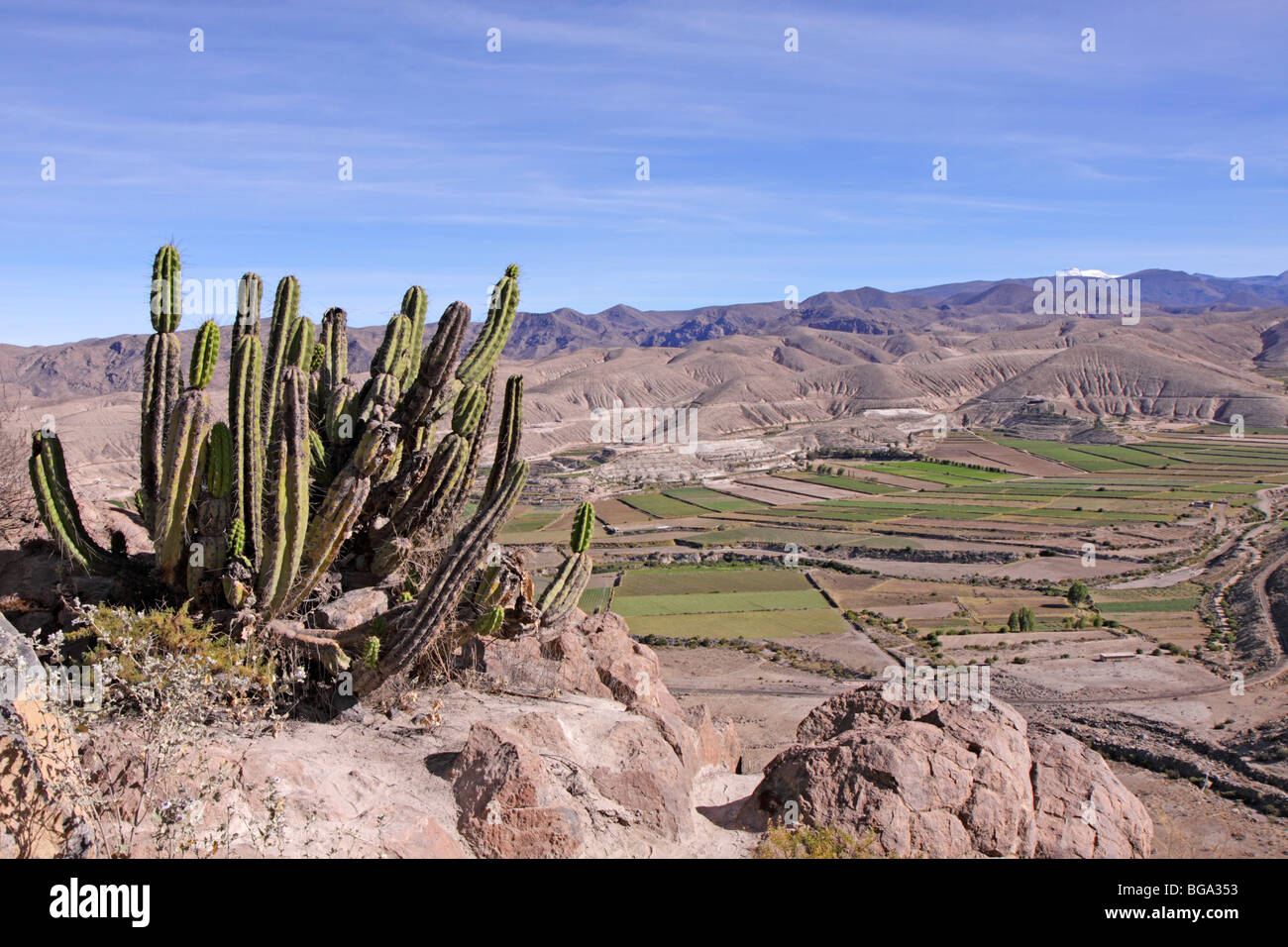 bei Pampa Canauas in der Nähe von Arequipa, Peru, Südamerika Stockfoto