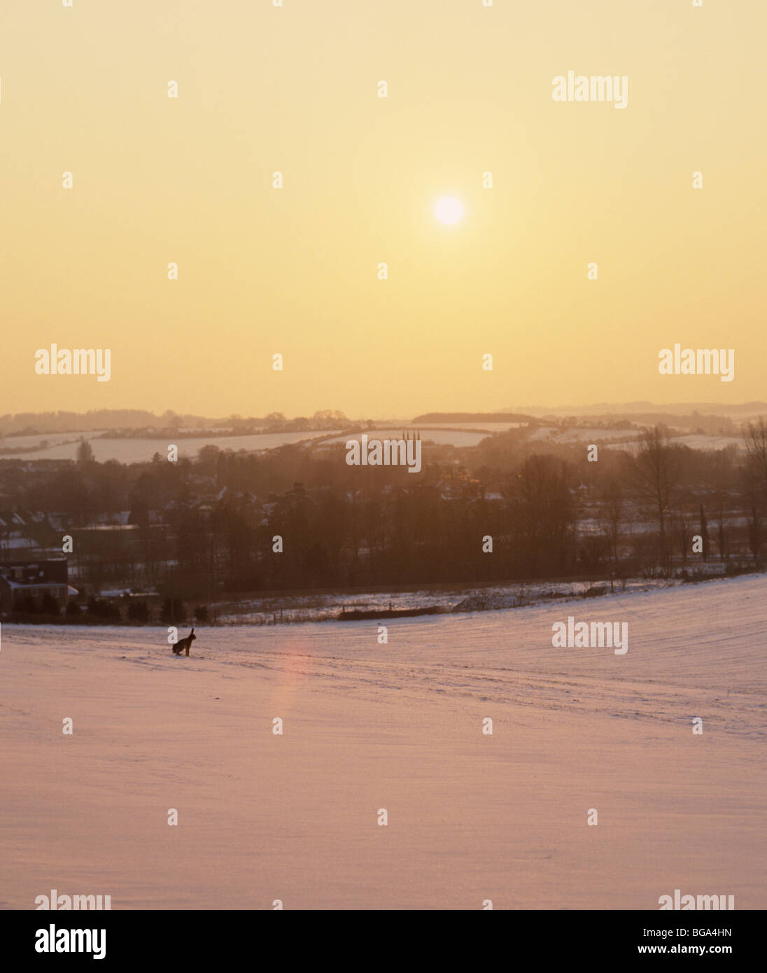 Verschneite Landschaft und Hungerford Stadt mit einem Hasen beobachten, wie die Sonne im winter Stockfoto