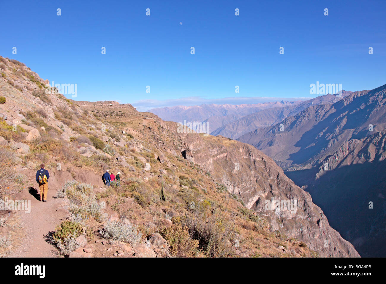 Touristen, die Wanderung durch den Colca Canyon, Anden, Peru, Südamerika Stockfoto