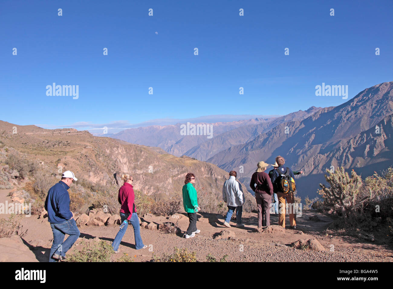 Touristen, die Wanderung durch den Colca Canyon, Anden, Peru, Südamerika Stockfoto