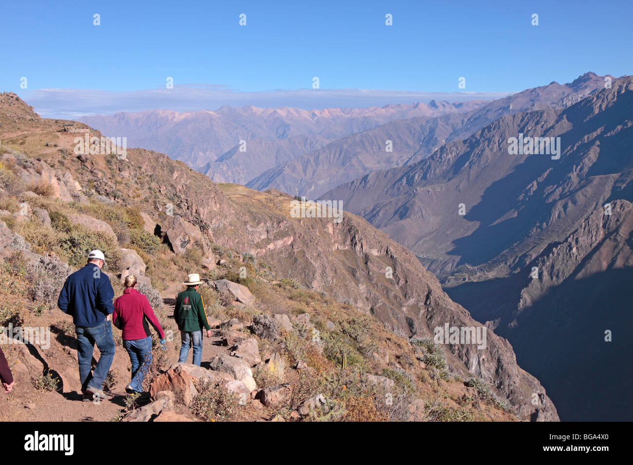 Touristen, die Wanderung durch den Colca Canyon, Anden, Peru, Südamerika Stockfoto