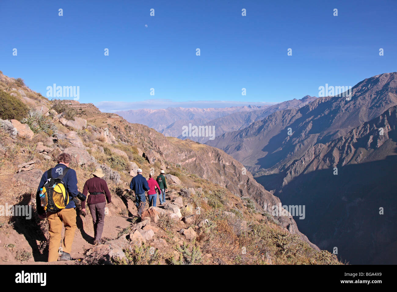 Touristen, die Wanderung durch den Colca Canyon, Anden, Peru, Südamerika Stockfoto
