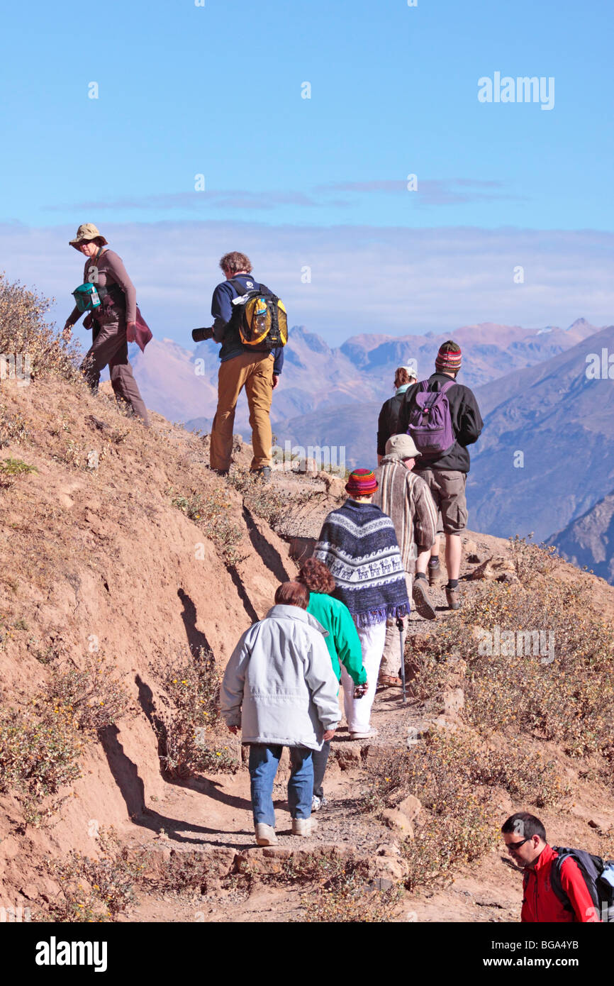 Touristen, die Wanderung durch den Colca Canyon, Anden, Peru, Südamerika Stockfoto