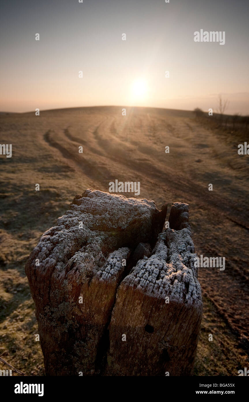 Wintermorgen auf den South Downs Stockfoto