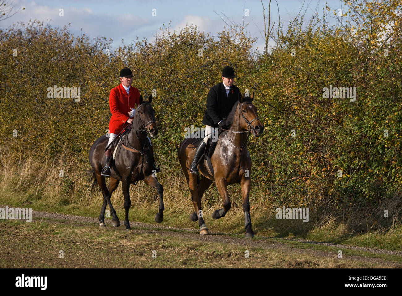Quorn jagen Jagd England UK U.K Englisch Pferd Stockfoto