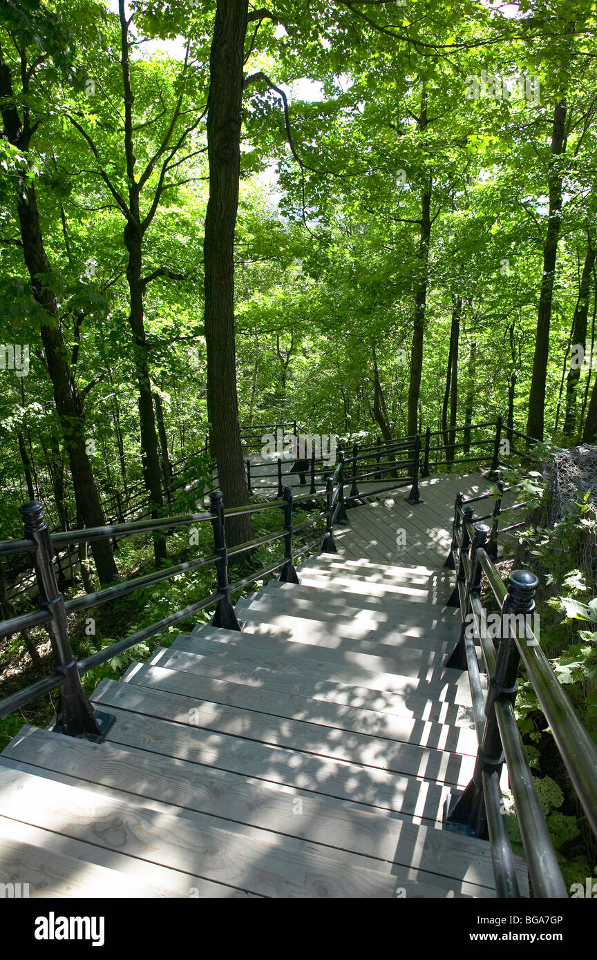 Treppen in Mont-Royal, Montreal, Kanada Stockfoto