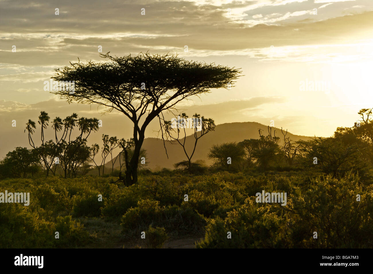 Sonnenuntergang in Samburu, Kenia Stockfoto