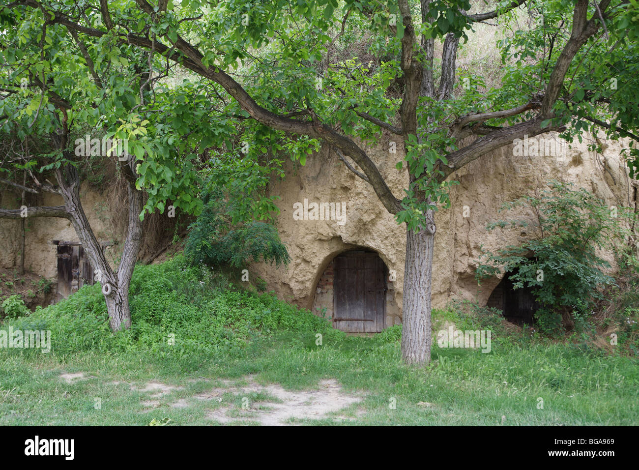Wein-Keller in sandigen Hügel, Chlaba, Slowakei Stockfoto