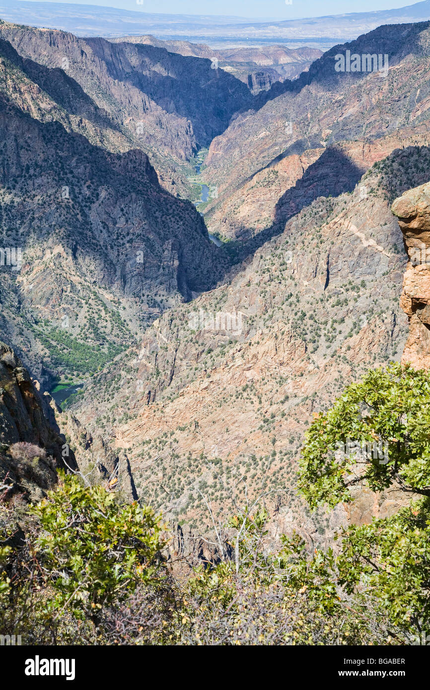 Der Gunnison River fließt durch den Black Canyon des Gunnison National Park Colorado. Stockfoto