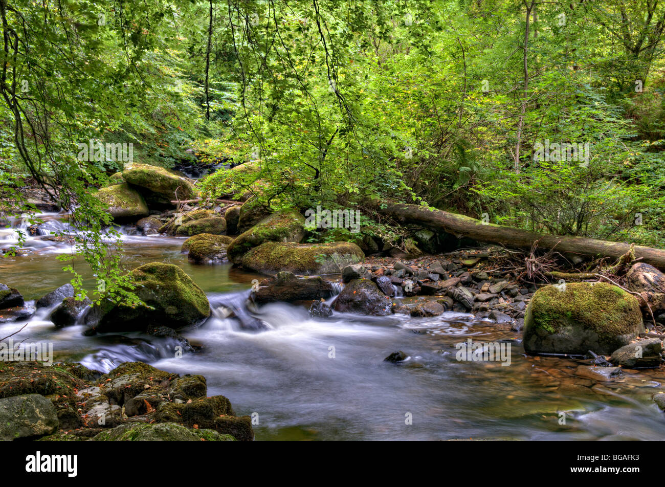 Die Birks Aberfeldy Waldspaziergang genommen im Frühherbst, Perth und Kinross, Schottland Stockfoto