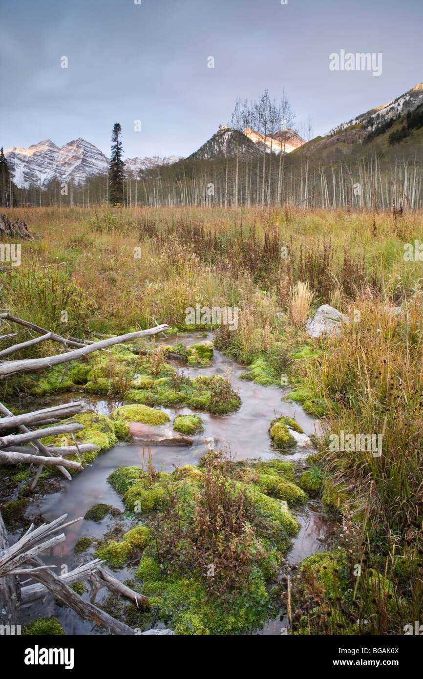 Ein kleiner Bach, Moos und Holzscheite gefunden in der Umgebung von Aspen mit Maroon Bells im Hintergrund. Stockfoto