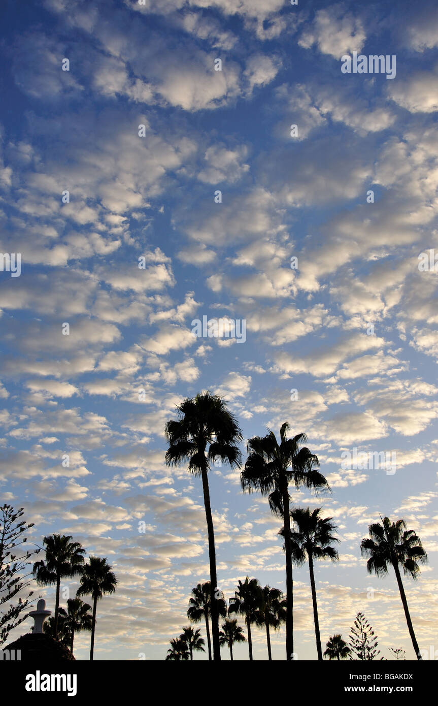 Wolken im Himmel bei Sonnenuntergang, Playa del Ingles, San Bartolome de Tirajana Gemeinde, Gran Canaria, Kanarische Inseln, Spanien Stockfoto