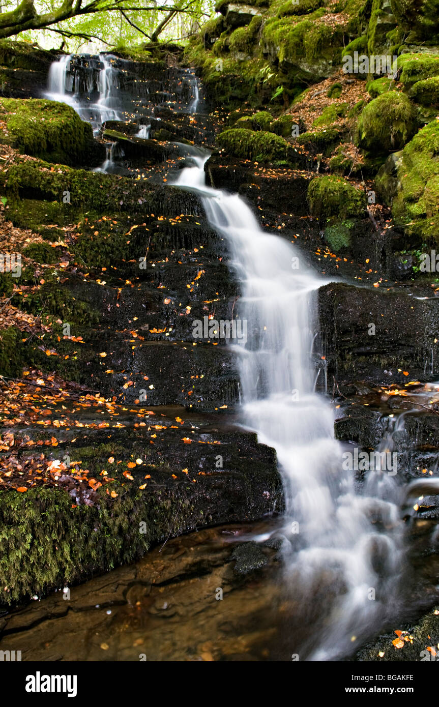 Die Birks Aberfeldy Waldspaziergang genommen im Frühherbst, Perth und Kinross, Schottland Stockfoto