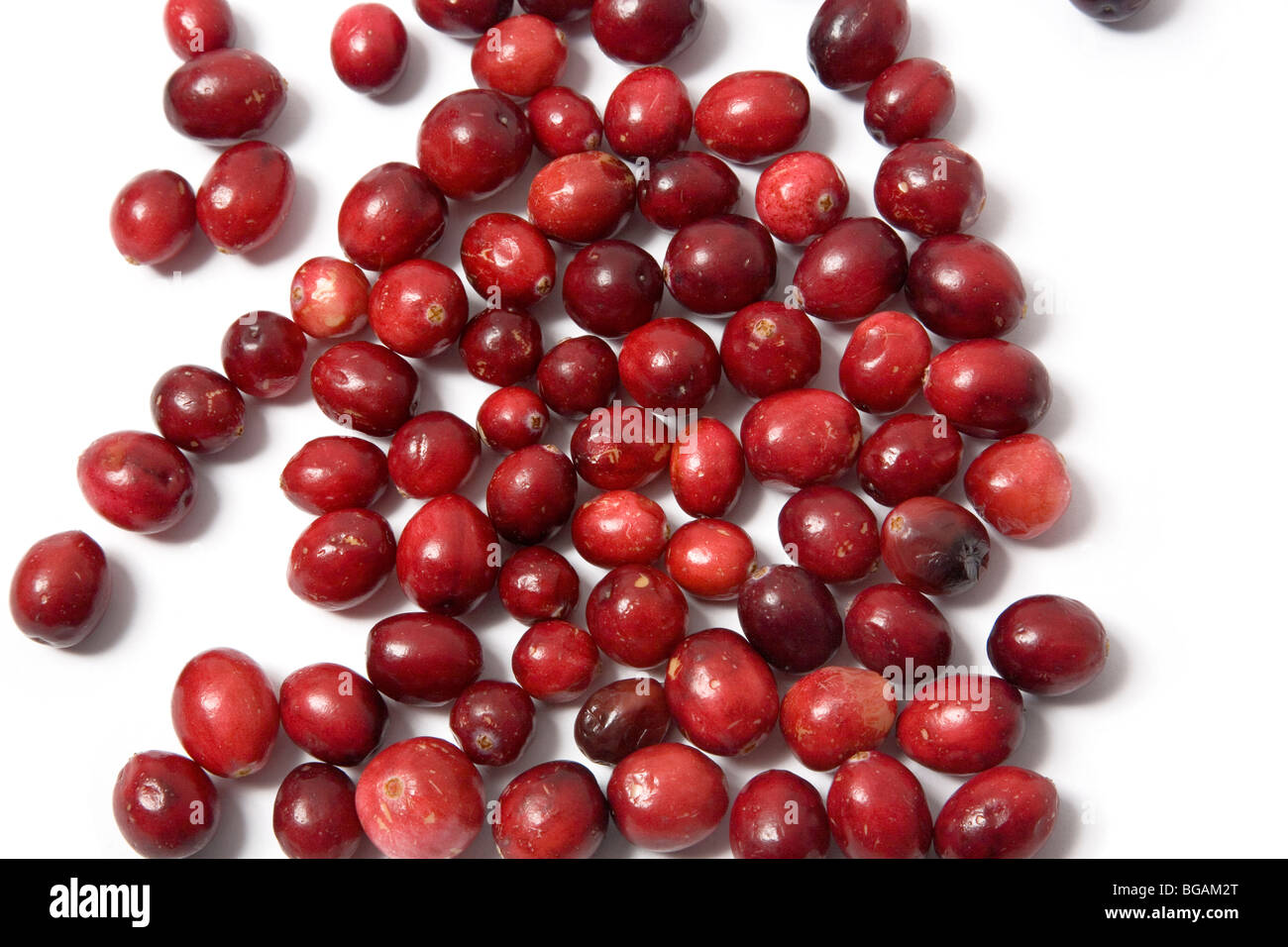 Preiselbeeren gegen weiß Stockfoto
