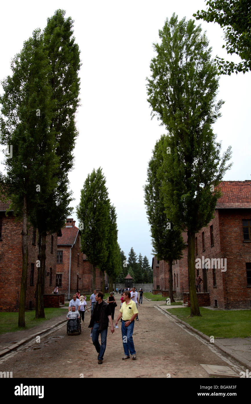 Besucher in Auschwitz ich KZ, Auschwitz, Polen Stockfoto