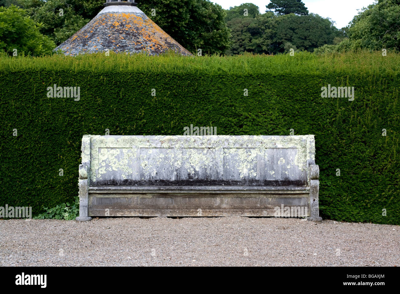 Eine Bank die Knoten-Garten auf dem Gelände des Antony House, herzlich, Cornwall, England, UK Stockfoto