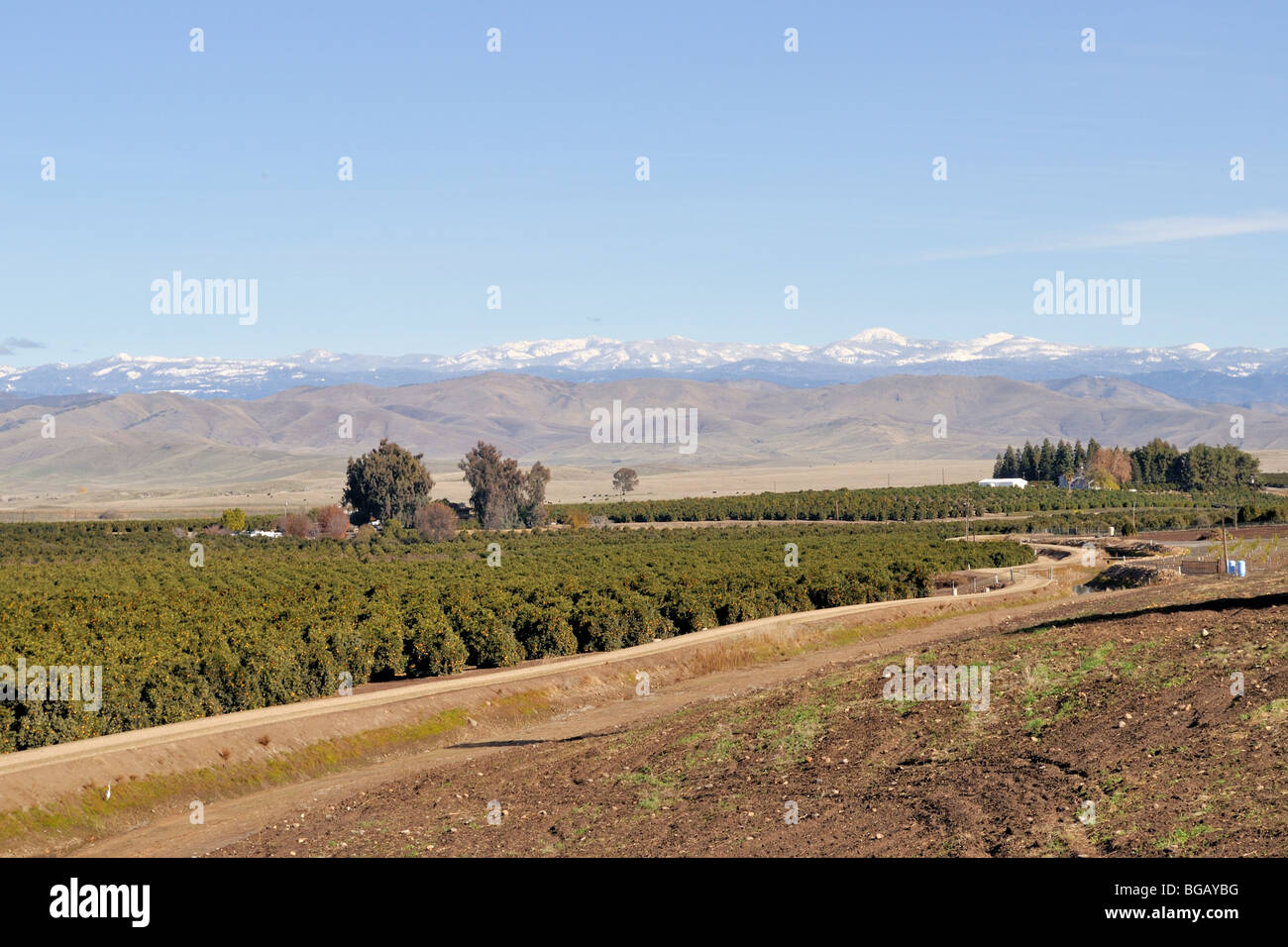 Zitrushain und der Enterprise-Kanal, central Valley von Kalifornien USA Stockfoto