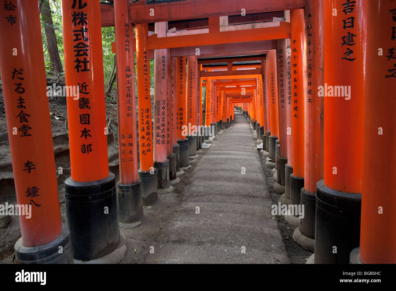 Japan, Insel Honshu, Kyoto, Fushimi Inari Schrein (Fushimi Inari-Taisha), Red Gates (Tori) in den wichtigsten Tempel Stockfoto
