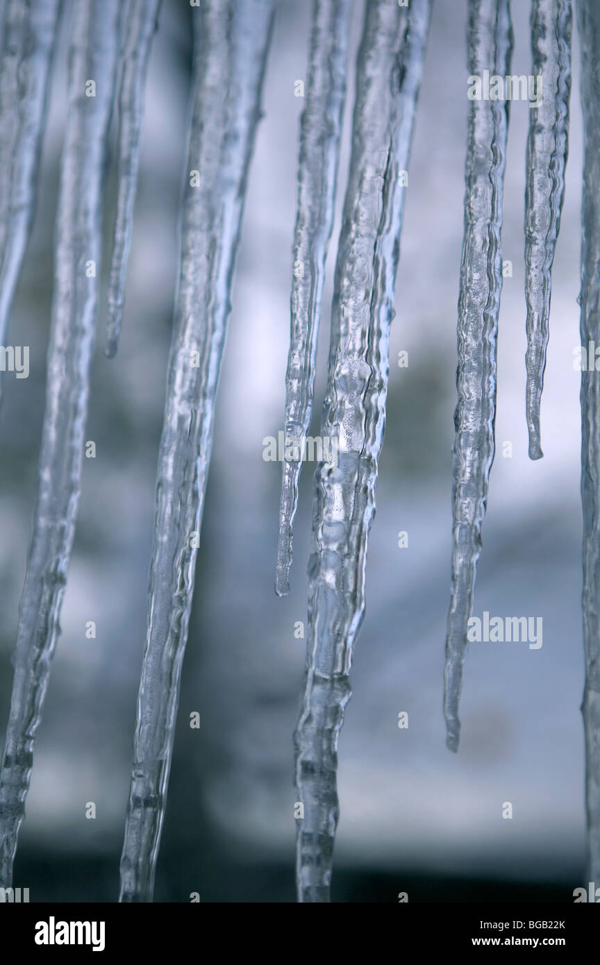 Eiszapfen im winter Stockfoto