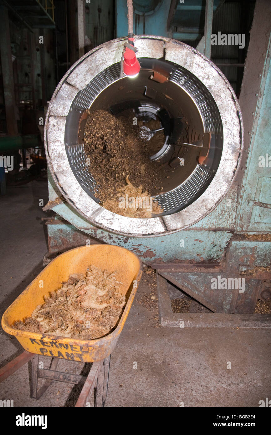 Einen rotierenden Sorter Palmkernen von leeren Haufen Fasern zu trennen. Sindora Palmöl-Mühle, Johor Bahru, Malaysia Stockfoto