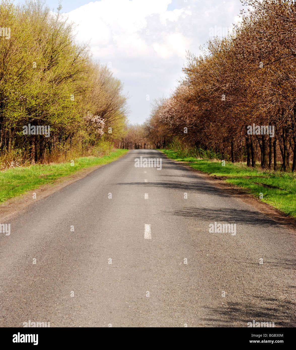 Autobahn mit Dichter Vegetation an einem Straßenrand Stockfoto