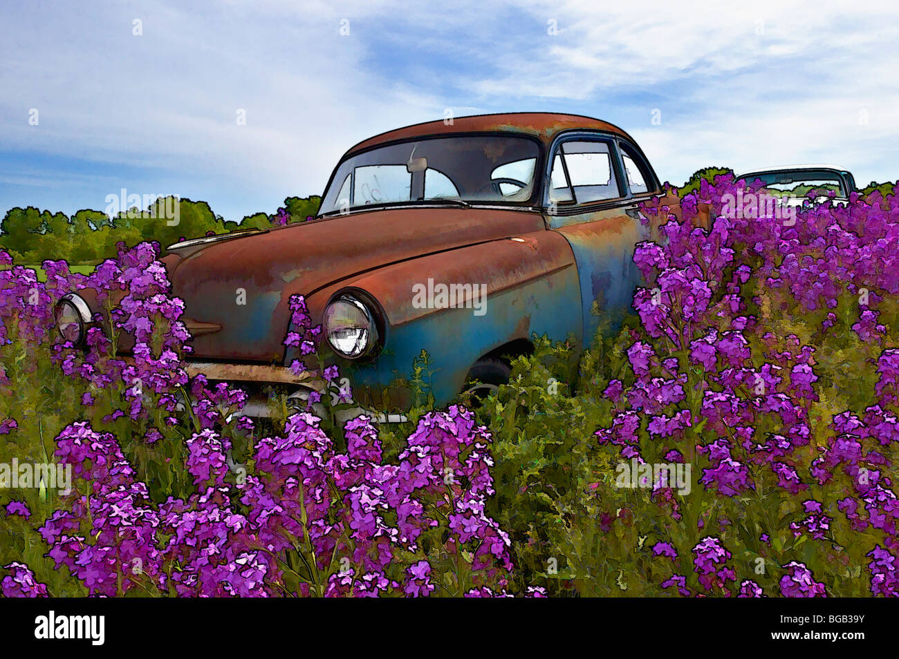 Effekt der alten Auto-Malerei (53 Chevy) im Feld der Dame Rakete (Hesperis Matronalis) - Newton, Wisconsin Stockfoto