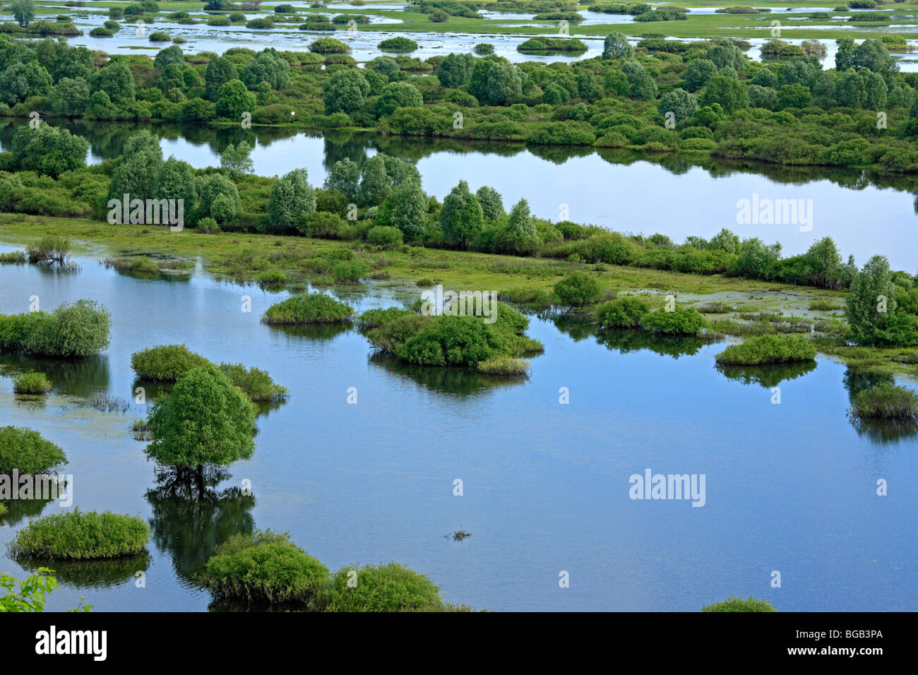 Fluss Desna, Nowgorod-Severskiy, Chernigov Gebiet, Ukraine Stockfoto