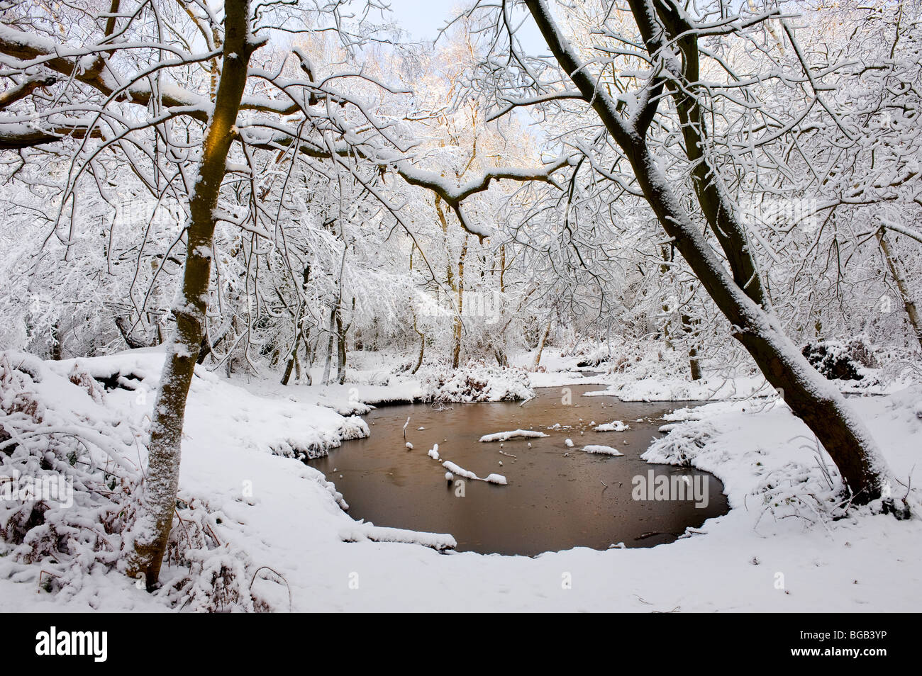 Starker Schneefall in Thorndon Park in der Grafschaft Essex. Stockfoto