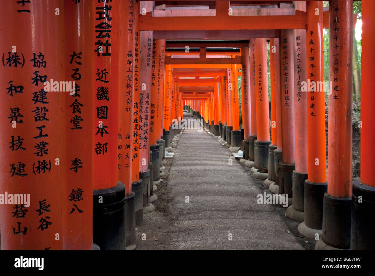 Japan, Insel Honshu, Kyoto, Fushimi Inari Schrein (Fushimi Inari-Taisha), Red Gates (Tori) in den wichtigsten Tempel Stockfoto