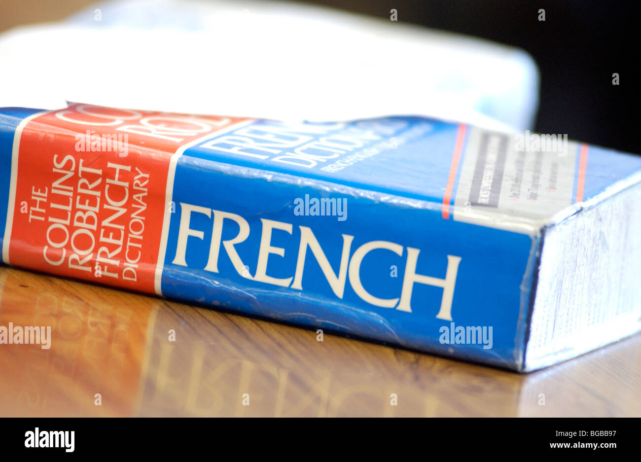 Foto natürlich Französisch Wörterbuch Studentin College lernen Stockfoto
