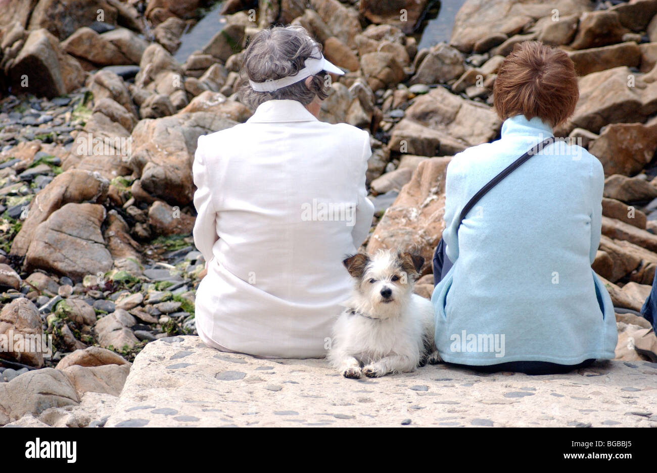 Lizenzfreie kostenlose Foto von Ehepaar im Ruhestand Freunde sitzen auf einen Tag mit ihrem Hund am Strand UK Stockfoto