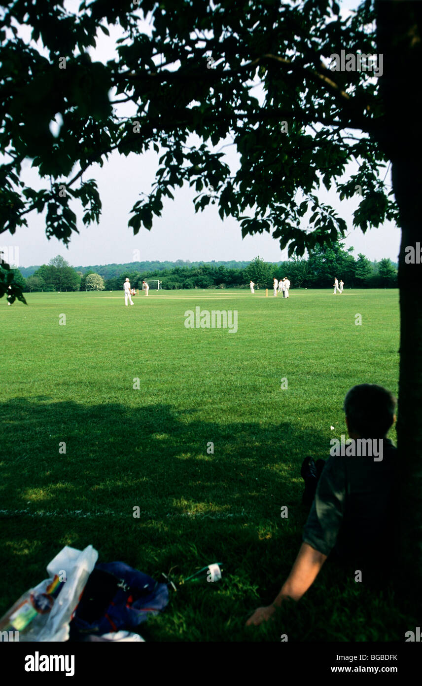 Zuschauer sitzen unter einem Baum ein Cricket-Match beobachten Stockfoto