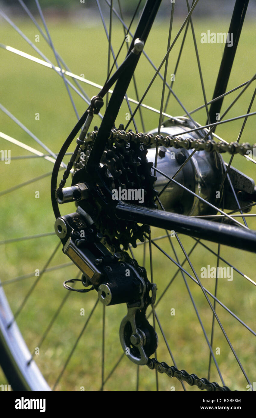 Detail von einem Fahrrad Hinterrad Getriebe Stockfoto