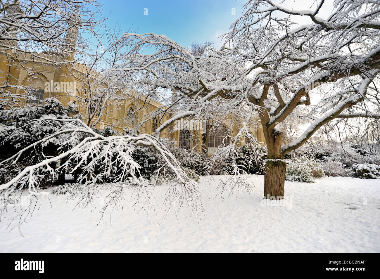 Die Gärten der Brighton Pavilion mit Schnee bedeckt Stockfoto