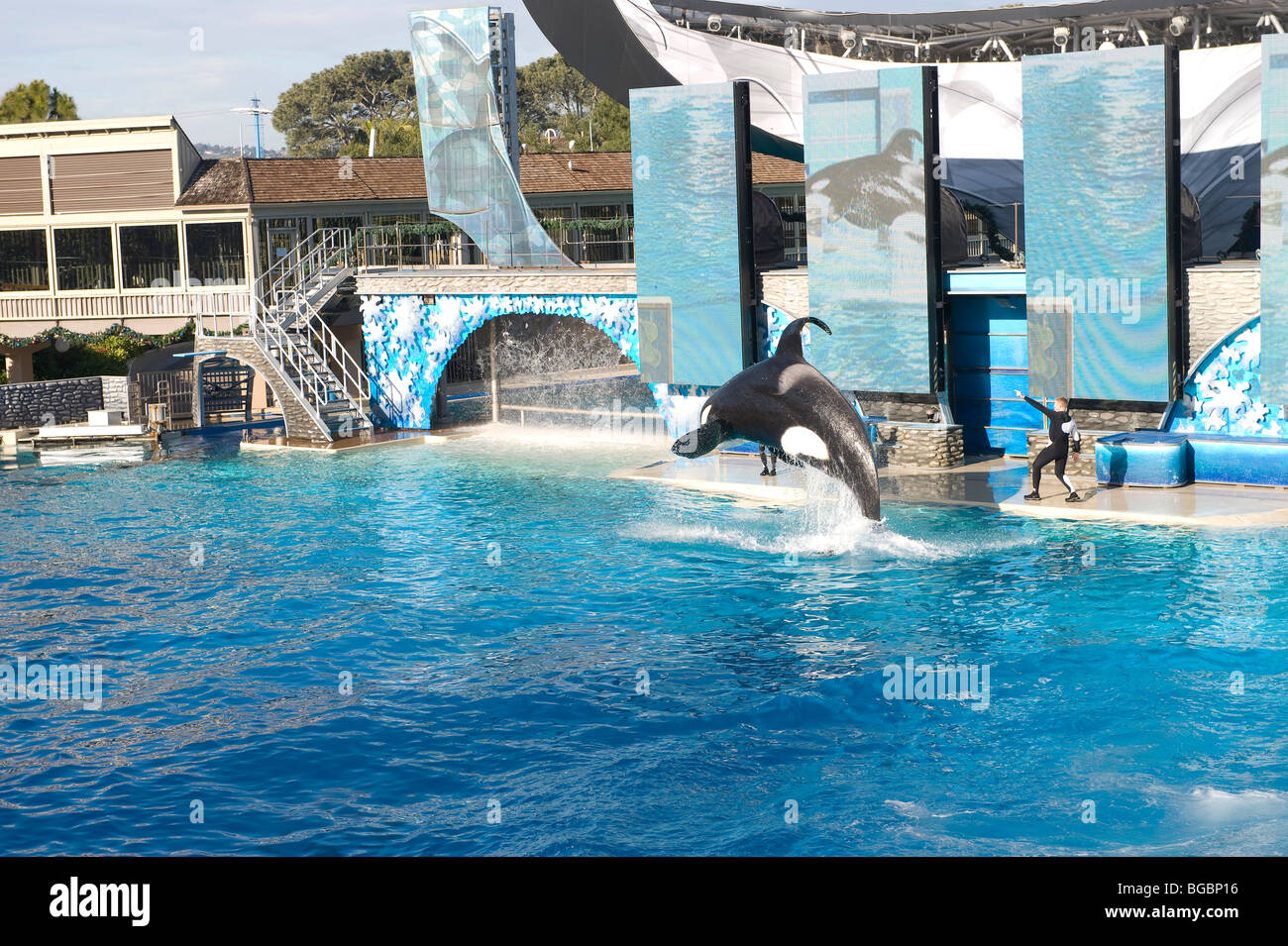 Killerwale Kunststücke in marine Themenparks Stockfoto