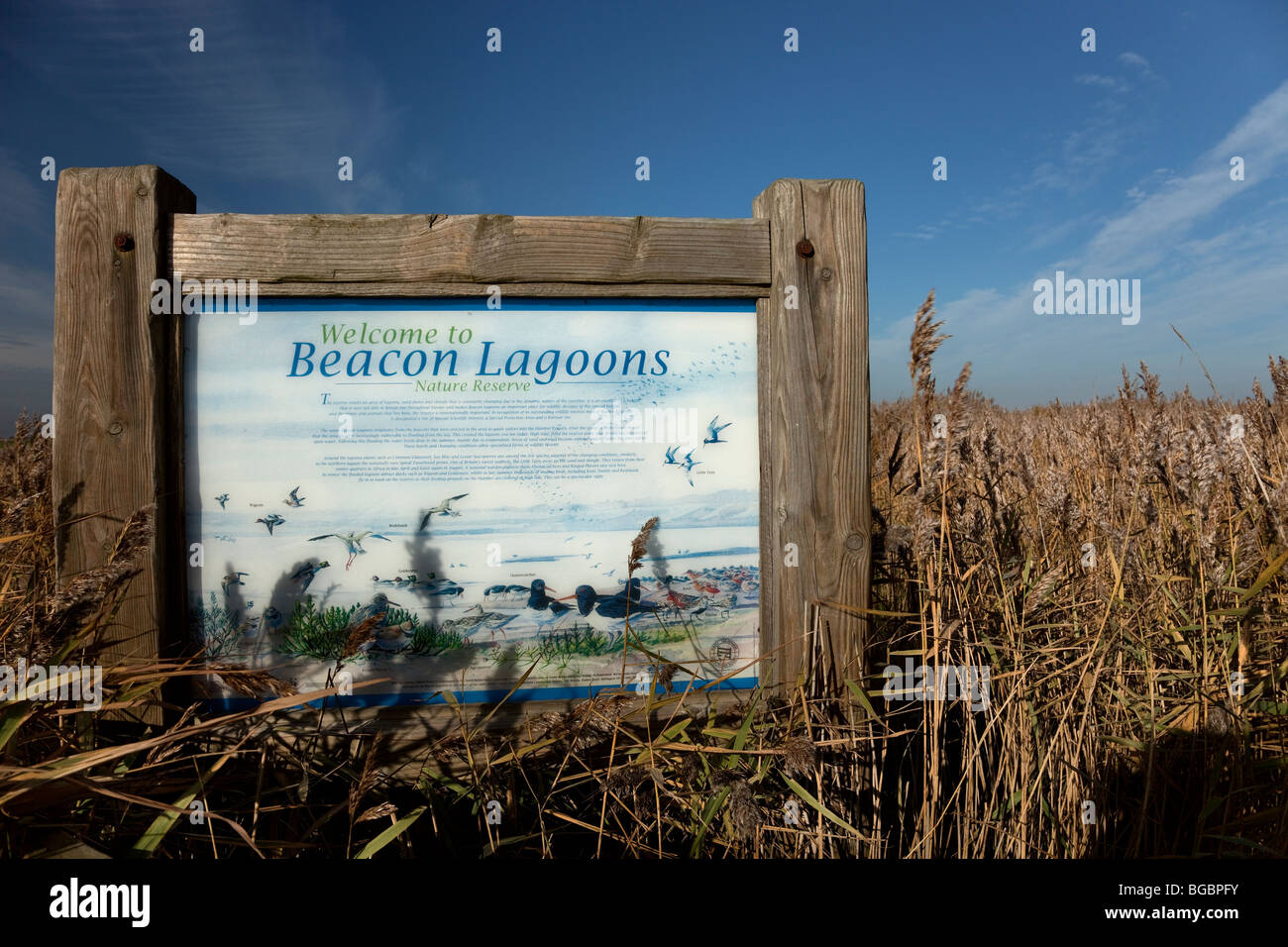 Beacon Lagunen-Naturschutzgebiet Stockfoto
