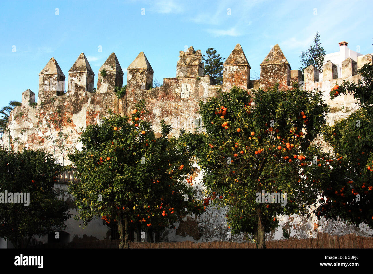 Die alte Stadtmauer; Sidonia, Andalusien, Spanien Stockfoto