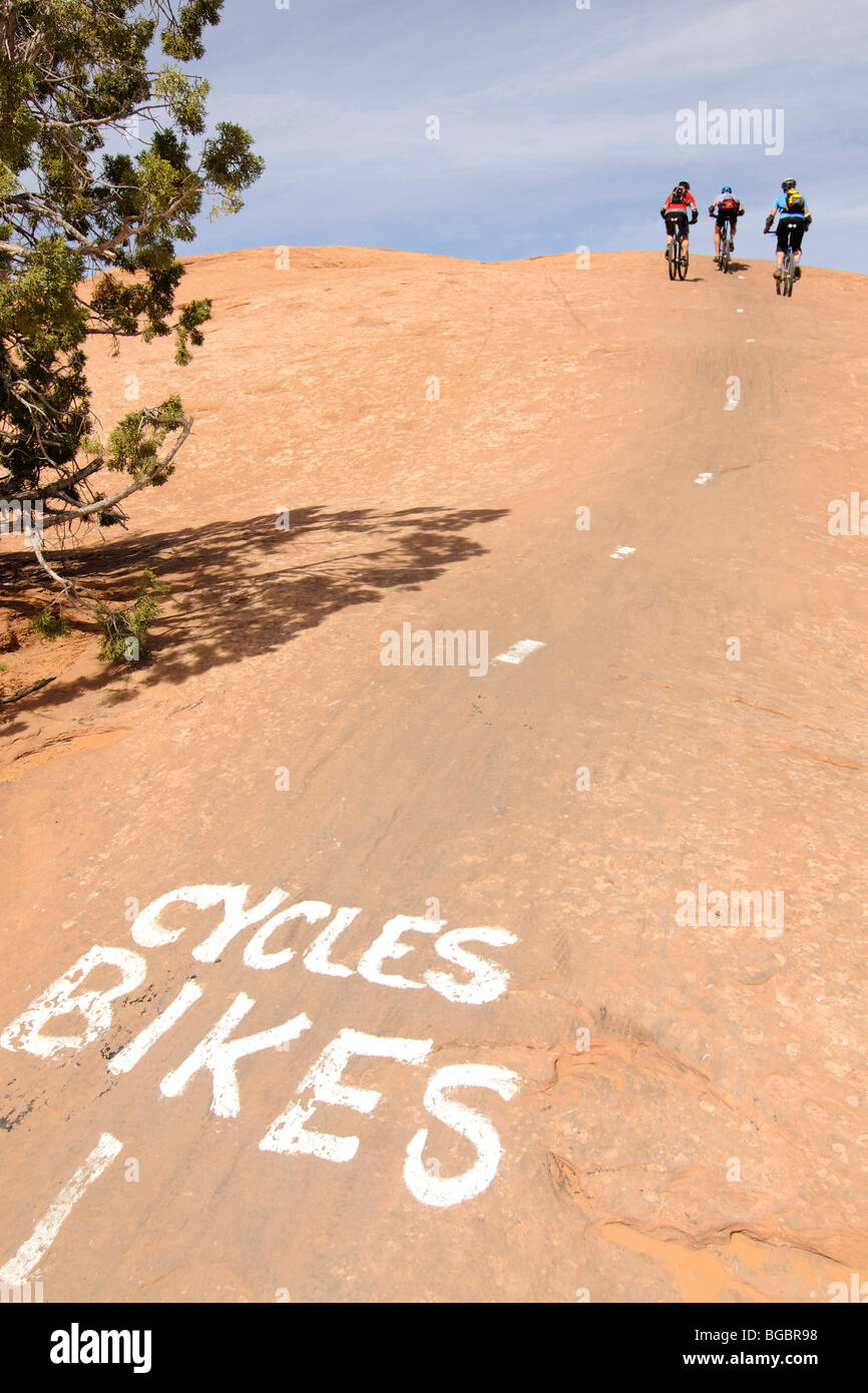 Mountainbiker auf Slickrock Trail, Moab, Utah, USA Stockfoto