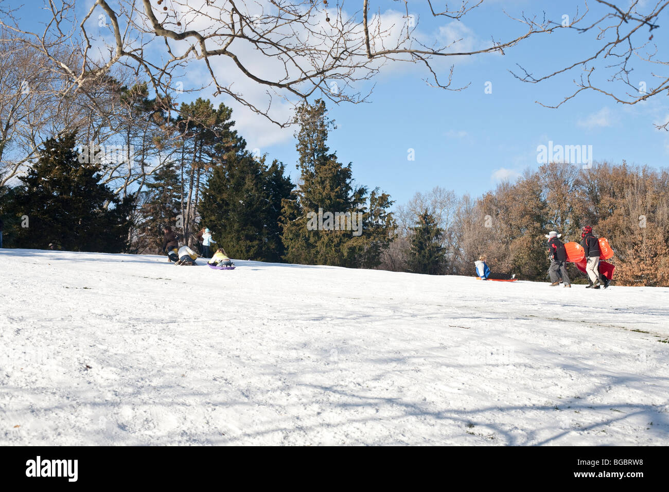 Kinder & Jugendliche Reiten & Ausübung Schlitten Rodeln im Schnee Piste bedeckt Central Park an hellen sonnigen Wintertag in New York City Stockfoto