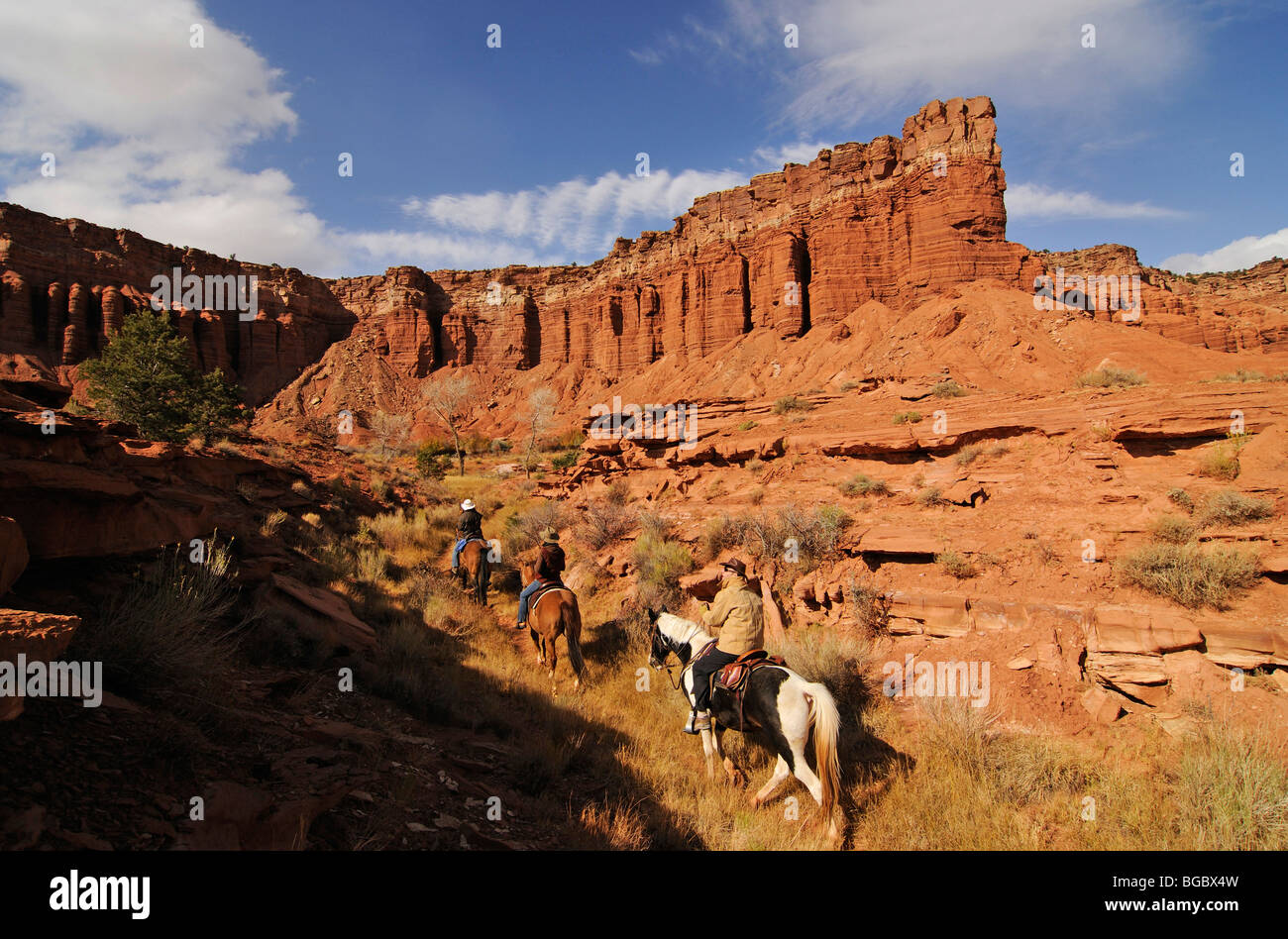 Cowgirl, Fahrer in Torrey, Capitol Reef National Park, Utah, USA Stockfoto