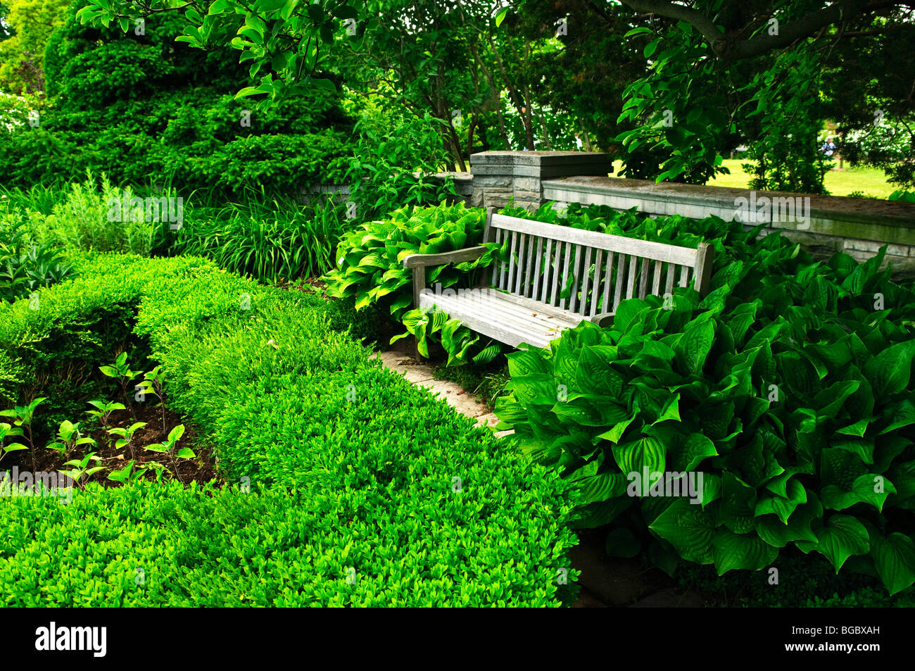 Grünen Garten mit Stein Landschaftsbau, Hecke und Bank Stockfoto